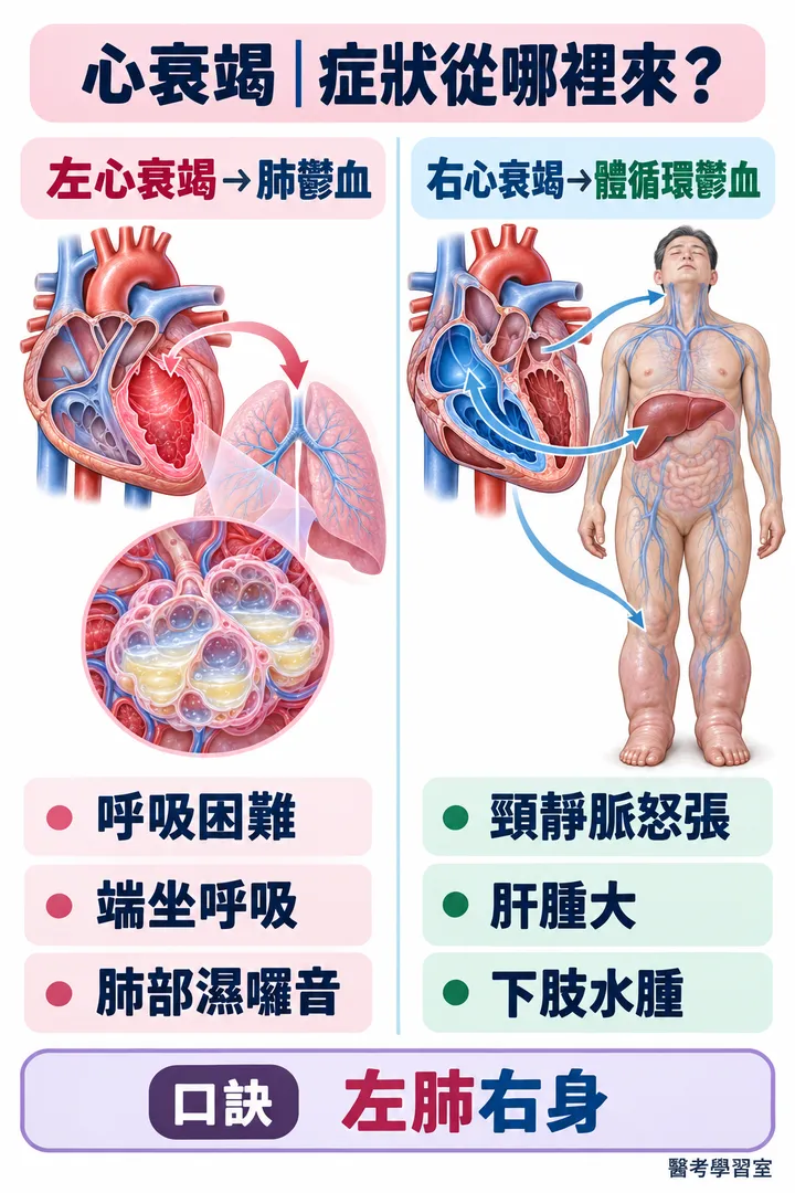 圖解:心衰竭症狀從哪裡來