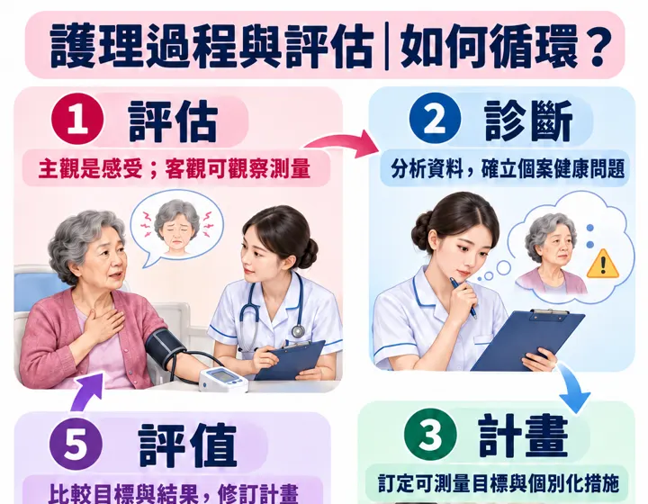 護理過程與評估圖解預覽