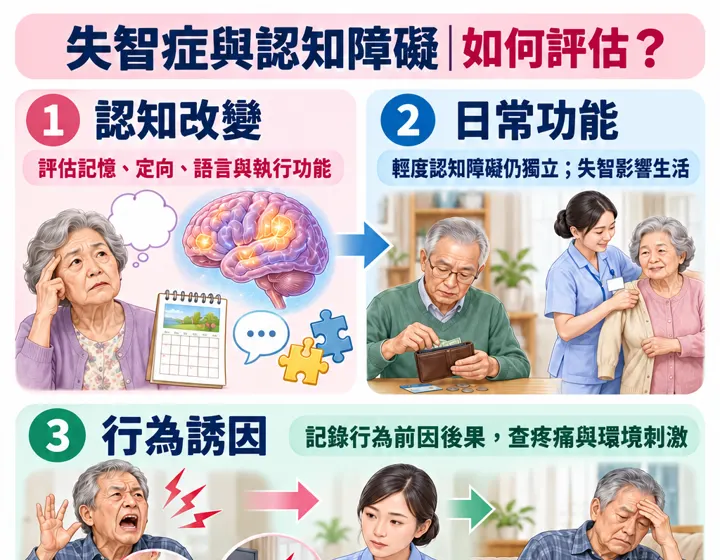 失智症與認知障礙圖解預覽
