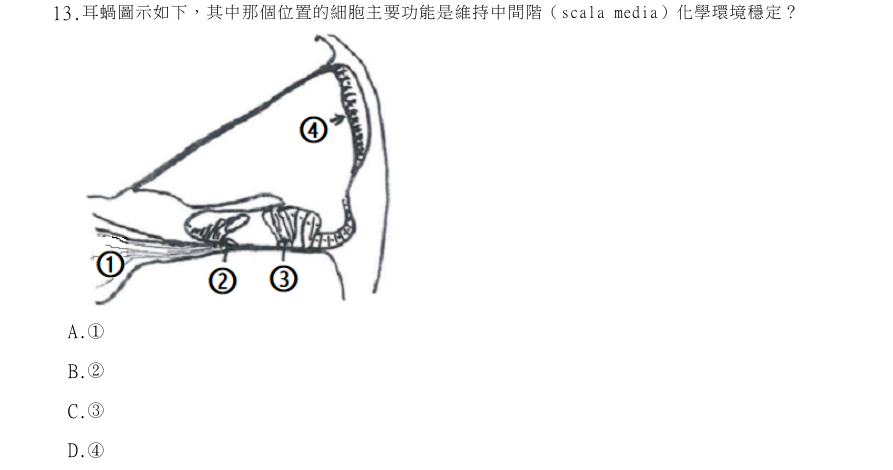 第13題官方原題影像 1