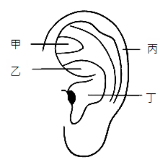 第25題官方原題影像 1