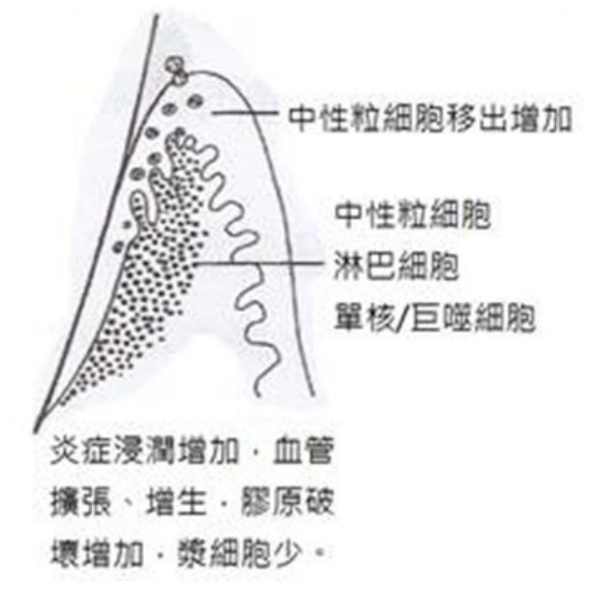 第62題官方原題影像 1