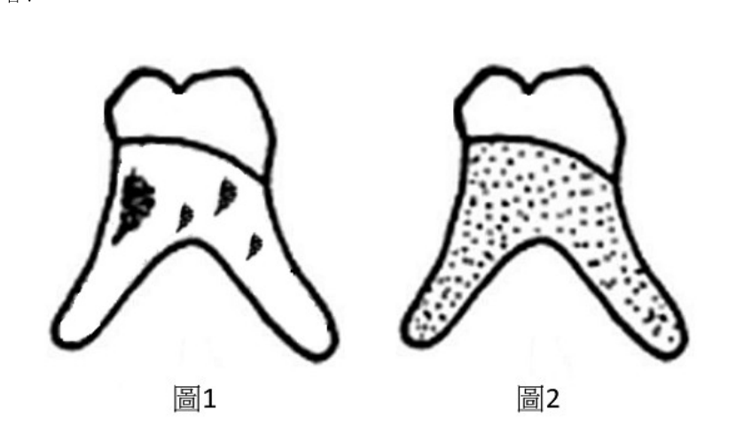 第21題官方原題影像 1