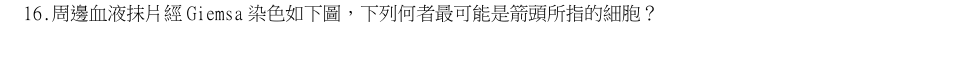 第16題官方原題影像 1