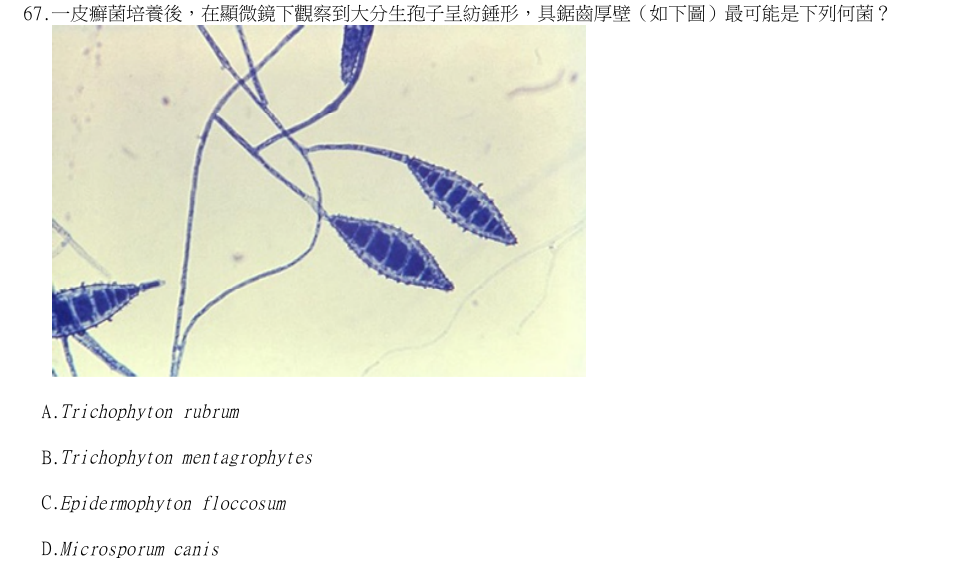 第67題官方原題影像 1