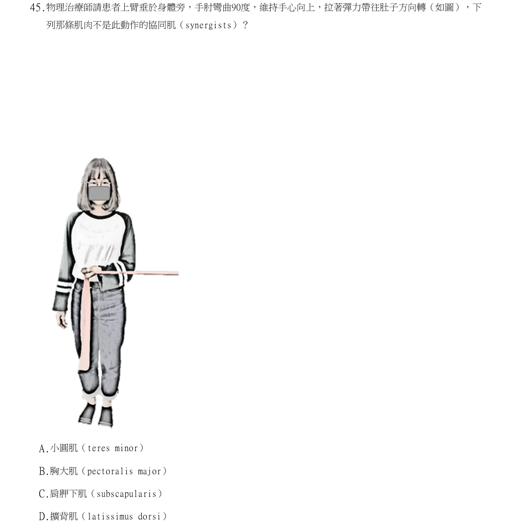 113年第1次物理治療師國考 物理治療基礎學(包括解剖學、生理學、肌動學與生物力學) 第45題原 PDF 題面截圖(含圖像、公式或選項):物理治療師請患者上臂垂於身體旁,手肘彎曲90度,維持手心向上,拉著彈力帶往肚子方向轉(如圖),下列那條肌肉不是此動作的協同肌(synergists)?