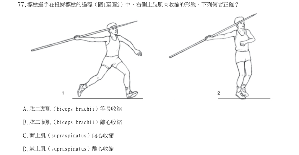 113年第2次物理治療師國考 物理治療基礎學(包括解剖學、生理學、肌動學與生物力學) 第77題原 PDF 題面截圖(含圖像、公式或選項):標槍選手在投擲標槍的過程(圖1至圖2)中,右側上肢肌肉收縮的形態,下列何者正確?