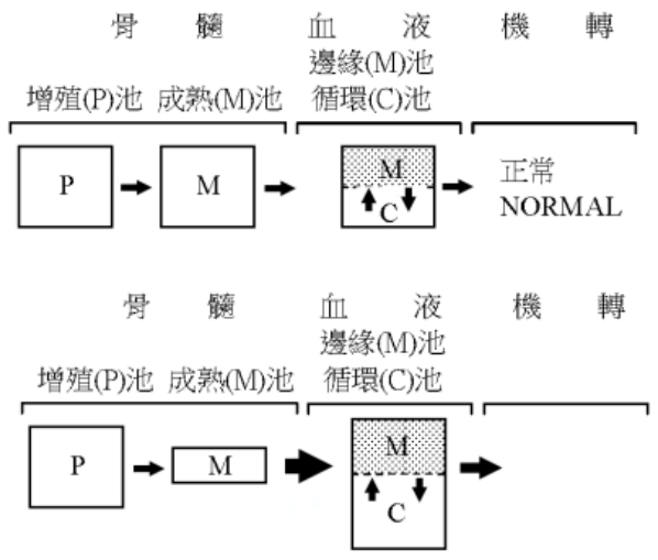 第27題官方原題影像 1